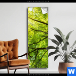 Spannbild Baumkrone Einer Buche Schmal Produktvorschau mit dem Bild Baumkrone einer Buche im Format Schmal.