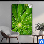 Spannbild Blatt Mit Wassertropfen Hochformat Produktvorschau mit dem Bild Blatt mit Wassertropfen im Format Hochformat.