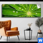 Spannbild Blatt Mit Wassertropfen Panorama Produktvorschau mit dem Bild Blatt mit Wassertropfen im Format Panorama.