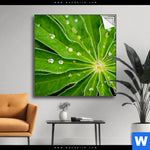 Spannbild Blatt Mit Wassertropfen Quadrat Produktvorschau mit dem Bild Blatt mit Wassertropfen im Format Quadrat.