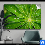 Spannbild Blatt Mit Wassertropfen Querformat Produktvorschau mit dem Bild Blatt mit Wassertropfen im Format Querformat.