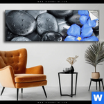 Spannbild Blaue Blume Graue Steine Panorama Produktvorschau mit dem Bild Blaue Blume & Graue Steine im Format Panorama.