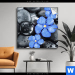 Spannbild Blaue Blume Graue Steine Quadrat Produktvorschau mit dem Bild Blaue Blume & Graue Steine im Format Quadrat.