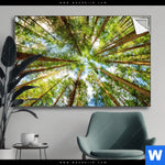 Spannbild Blick In Baumkronen Querformat Produktvorschau mit dem Bild Blick in Baumkronen im Format Querformat.