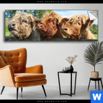 Spannbild Drei Schottische Rinder Panorama Produktvorschau mit dem Bild Drei Schottische Rinder im Format Panorama.
