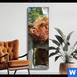 Spannbild Drei Schottische Rinder Schmal Produktvorschau mit dem Bild Drei Schottische Rinder im Format Schmal.