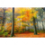 Spannbild Herbstfarben Im Nebligen Wald Querformat Motivvorschau