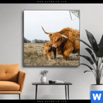 Spannbild Highlander Familie Quadrat Produktvorschau mit dem Bild Highlander Familie im Format Quadrat.