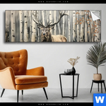 Spannbild Hirsch Im Birkenwald Panorama Produktvorschau mit dem Bild Hirsch im Birkenwald im Format Panorama.