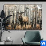 Spannbild Hirsch Im Birkenwald Querformat Produktvorschau mit dem Bild Hirsch im Birkenwald im Format Querformat.
