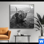 Spannbild Hochland Rind Schwarz Weiss No 2 Quadrat Produktvorschau mit dem Bild Hochland-Rind Schwarz-Weiß No. 2 im Format Quadrat.