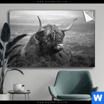 Spannbild Hochland Rind Schwarz Weiss No 2 Querformat Produktvorschau mit dem Bild Hochland-Rind Schwarz-Weiß No. 2 im Format Querformat.