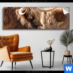 Spannbild Hochlandrind Auf Weide Panorama Produktvorschau mit dem Bild Hochlandrind auf Weide im Format Panorama.