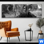 Spannbild Hochlandrind No 2 Panorama Produktvorschau mit dem Bild Hochlandrind No.2 im Format Panorama.