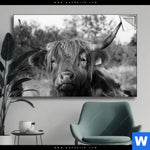 Spannbild Hochlandrind No 2 Querformat Produktvorschau mit dem Bild Hochlandrind No.2 im Format Querformat.