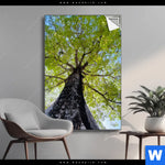 Spannbild Hoher Baum Hochformat Produktvorschau mit dem Bild Hoher Baum im Format Hochformat.