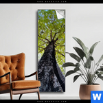 Spannbild Hoher Baum Schmal Produktvorschau mit dem Bild Hoher Baum im Format Schmal.