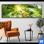 Spannbild Im Frischen Gruenen Wald Panorama Produktvorschau mit dem Bild Im frischen grünen Wald im Format Panorama.