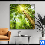 Spannbild Im Frischen Gruenen Wald Quadrat Produktvorschau mit dem Bild Im frischen grünen Wald im Format Quadrat.
