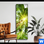 Spannbild Im Frischen Gruenen Wald Schmal Produktvorschau mit dem Bild Im frischen grünen Wald im Format Schmal.
