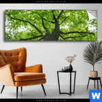 Spannbild Imposanter Baum Panorama Produktvorschau mit dem Bild Imposanter Baum im Format Panorama.