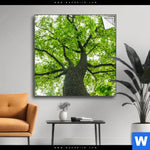 Spannbild Imposanter Baum Quadrat Produktvorschau mit dem Bild Imposanter Baum im Format Quadrat.