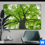 Spannbild Imposanter Baum Querformat Produktvorschau mit dem Bild Imposanter Baum im Format Querformat.