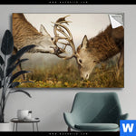 Spannbild Kaempfende Hirsche Querformat Produktvorschau mit dem Bild Kämpfende Hirsche im Format Querformat.