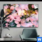 Spannbild Kirschblueten Im Fruehlingslicht Querformat Produktvorschau mit dem Bild Kirschblüten im Frühlingslicht im Format Querformat.