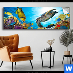 Spannbild Korallen Fische Panorama Produktvorschau mit dem Bild Korallen & Fische im Format Panorama.