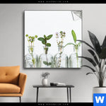 Spannbild Kraeuter In Flaschen Quadrat Produktvorschau mit dem Bild Kräuter in Flaschen im Format Quadrat.