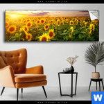 Spannbild Leuchtend Gelbe Sonnenblumen Am Abend Panorama Produktvorschau mit dem Bild Leuchtend gelbe Sonnenblumen am Abend im Format Panorama.