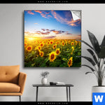Spannbild Leuchtend Gelbe Sonnenblumen Am Abend Quadrat Produktvorschau mit dem Bild Leuchtend gelbe Sonnenblumen am Abend im Format Quadrat.