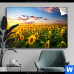 Spannbild Leuchtend Gelbe Sonnenblumen Am Abend Querformat Produktvorschau mit dem Bild Leuchtend gelbe Sonnenblumen am Abend im Format Querformat.