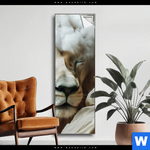 Spannbild Loewe Sanft Umhuellt Schmal Produktvorschau mit dem Bild Löwe sanft umhüllt im Format Schmal.