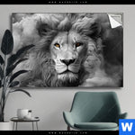Spannbild Loewengesicht In Rauch Querformat Produktvorschau mit dem Bild Löwengesicht in Rauch im Format Querformat.