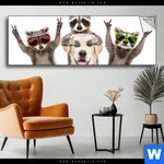 Spannbild Lustige Waschbaeren Mit Hund Panorama Produktvorschau mit dem Bild Lustige Waschbären mit Hund im Format Panorama.