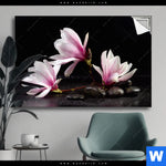 Spannbild Magnolien Zen Steine Querformat Produktvorschau mit dem Bild Magnolien & Zen Steine im Format Querformat.