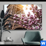 Spannbild Mangnolien In Paris Querformat Produktvorschau mit dem Bild Mangnolien in Paris im Format Querformat.