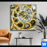 Spannbild Muschel Fossil No 1 Quadrat Produktvorschau mit dem Bild Muschel Fossil No. 1 im Format Quadrat.