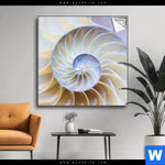 Spannbild Muschel Fossil No 2 Quadrat Produktvorschau mit dem Bild Muschel Fossil No. 2 im Format Quadrat.