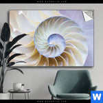 Spannbild Muschel Fossil No 2 Querformat Produktvorschau mit dem Bild Muschel Fossil No. 2 im Format Querformat.