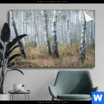 Spannbild Nebliger Morgen Im Birkenwald Querformat Produktvorschau mit dem Bild Nebliger Morgen im Birkenwald im Format Querformat.