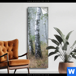 Spannbild Nebliger Morgen Im Birkenwald Schmal Produktvorschau mit dem Bild Nebliger Morgen im Birkenwald im Format Schmal.