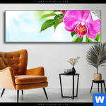 Spannbild Orchidee Wassertropfen Panorama Produktvorschau mit dem Bild Orchidee & Wassertropfen im Format Panorama.