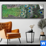 Spannbild Pfaufedern Panorama Produktvorschau mit dem Bild Pfaufedern im Format Panorama.