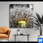 Spannbild Pusteblume No 10 Quadrat Produktvorschau mit dem Bild Pusteblume No. 10 im Format Quadrat.