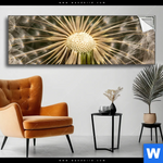 Spannbild Pusteblume No 11 Panorama Produktvorschau mit dem Bild Pusteblume No. 11 im Format Panorama.