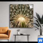 Spannbild Pusteblume No 11 Quadrat Produktvorschau mit dem Bild Pusteblume No. 11 im Format Quadrat.