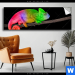Spannbild Regenbogen Chamaeleon Panorama Produktvorschau mit dem Bild Regenbogen Chamäleon im Format Panorama.